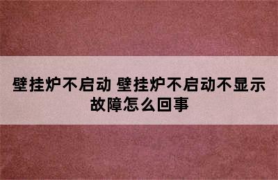 壁挂炉不启动 壁挂炉不启动不显示故障怎么回事